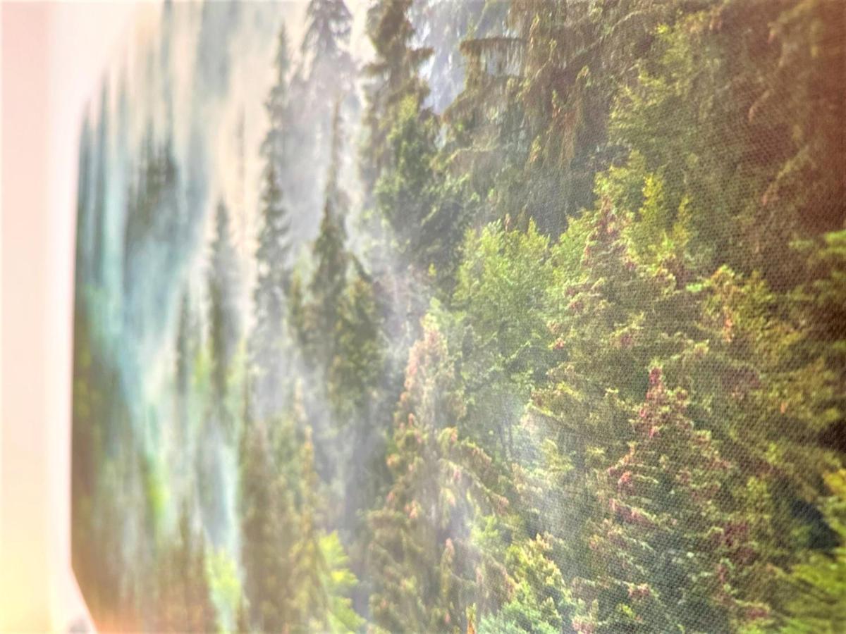 Appartement Cozy In Bavarian Forest +pool +sauna +netflix Zwiesel